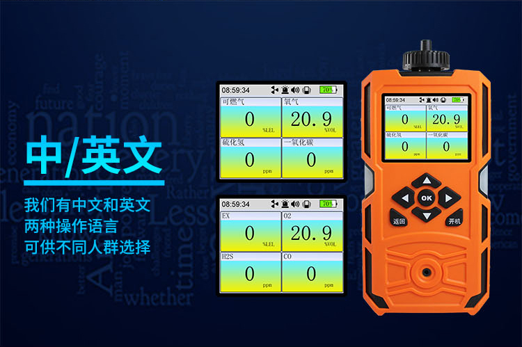 氣體檢測儀 氣體檢測儀