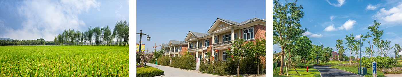 20260106176767118425.jpg 環(huán)境氣象監(jiān)測-適用場景.jpg